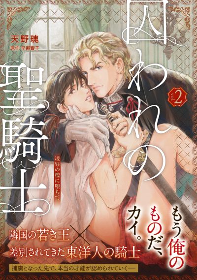 【単話版】囚われの聖騎士～凌辱の檻に堕ちて～２